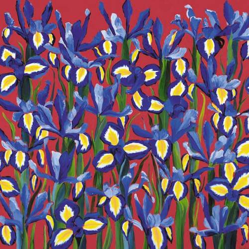 VJ14 Flowering Irises. 112kb jpg