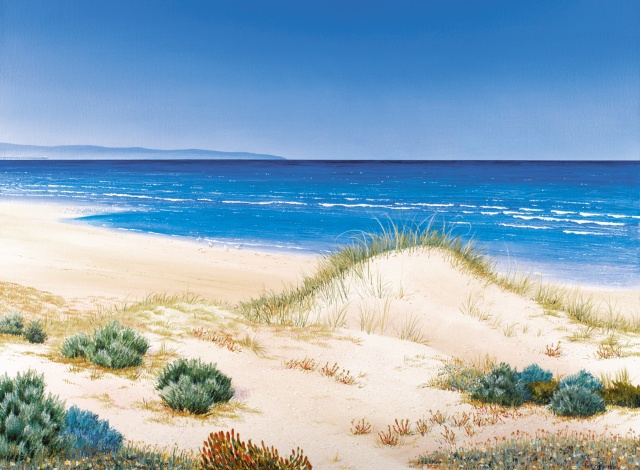 Coastal Dunes 640